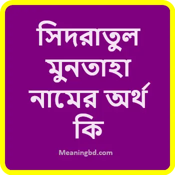 সিদরাতুল মুনতাহা নামের অর্থ কি
