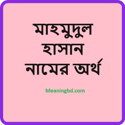 মাহমুদুল হাসান নামের অর্থ কি