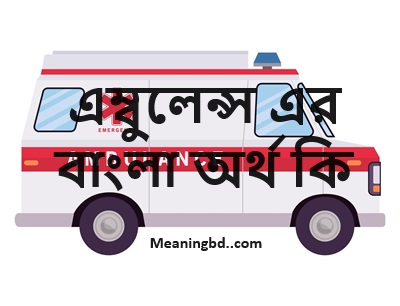 এম্বুলেন্স এর বাংলা অর্থ কি