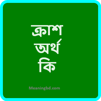 ক্রাশ অর্থ কি
