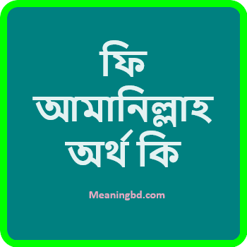 ফি আমানিল্লাহ অর্থ কি