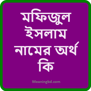 মফিজুল ইসলাম নামের অর্থ কি