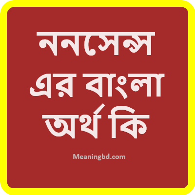 ননসেন্স এর বাংলা অর্থ কি