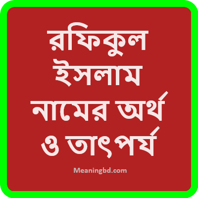 রফিকুল ইসলাম নামের অর্থ