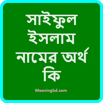 সাইফুল ইসলাম নামের অর্থ কি