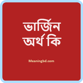 ভার্জিন অর্থ কি